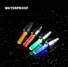 Load image into Gallery viewer, FALSE